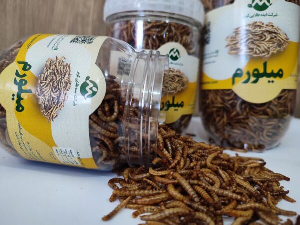 میلورم خشک